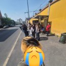 임헤어(Lim Hair) | 밀라노에서 뿌리탈색받기 -밀라노 미용실 추천 &amp; 한인미용사