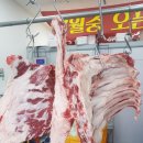 맛나축산