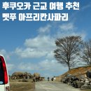 [규슈/벳푸여행] 후쿠오카 렌트 여행 벳부 아프리칸 사파리 후기(입장료, 소요시간)🐘