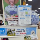 임실치즈테마파크5 | 임실 산타축제 후기 총정리｜임실치즈테마파크 주차·먹거리·눈썰매 아이와 가기 좋은 겨울축제