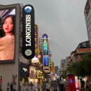 동방반점 - 북구 침산로 186 | 여행] 난징동루에서 와이탄 야경 코스 도보 이동 팁 & 피스 호텔, 동방명주 불 켜지는 시간·상징 총정리