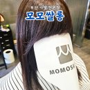 부산가발전문점 부산남자가발 여자가발은 모모쌀롱헤어&amp;위그