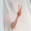 수 자연 이미지