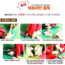 소라골 | 동해안골뱅이/명주매물고둥/백고동/왕소라