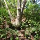 올리데이 이미지