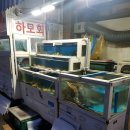 옹녀조개강쇠장어