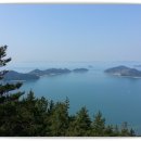 중앙선어시장 이미지