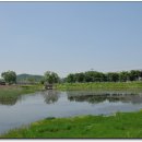 하늘 노래 소리 이미지