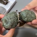 경성떡집 - 포항시 북구 창흥로 11 | 용인떡집 추천 설송원 망개떡 처음 먹어본 후기 기흥구 숨은 전통맛집
