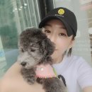 한영카페