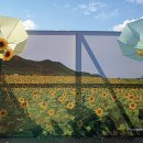 볼음도저어새생태마을 이미지