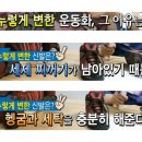 운동화세탁 이미지