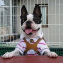 도담이네 이미지