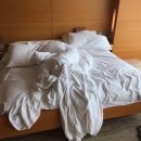 삼성동-6 이미지