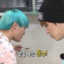 라이징썬 이미지