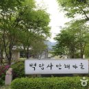 돌배야영장제1야영장 이미지