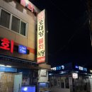 오대양회집 | 포항물회맛집 오대양물회식당에서 제대로 맛보고 온 후기