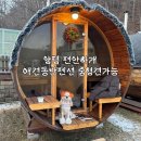 간지나 개 | 양평 애견 동반 펜션 “편안하개“ 솔직후기｜운동장·사우나·개별바베큐까지