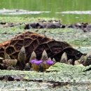 양산체육공원 이미지
