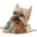 하이동물병원 이미지