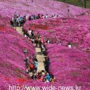 군포시,경기도축제 문화사계 ‘봄’ 유치 이미지