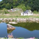 유명산둥지 이미지