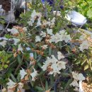 에바다농장 이미지