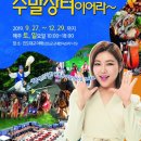 진도울돌목주말장터 이미지