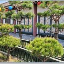 택수목장 이미지