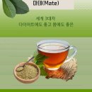 내몸에 초록