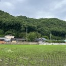 금포2길 | 안동 여행 경함정 근처 금소마을 산책 코스 추천