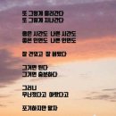 축복 Daum카페