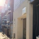 호야야스토어 | 인천 구월동 귀여운 식물가게 '파팟' 내돈내산 반려식물 입양 후기 (미니호야)