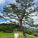 2024 1박 2일 안동 여행 1일차
