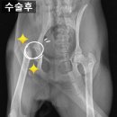 진천동물병원 이미지