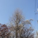 용답휴식공원(신답역) 이미지