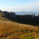 2019-주100 이미지