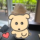 남한산성 청와정 펜션 | 남한산성 카페 청와정 후기