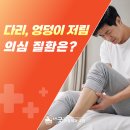 송파굿정형외과의원 | 다리·엉덩이 저림, 허리디스크 신호 | 방이동 송파굿정형외과 원인과 증상