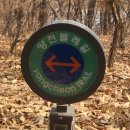 신월동169 이미지