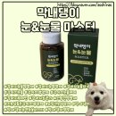 "마법처럼 싹 마르진 않지만" 막내댕이 눈&amp;눈물 마스터 솔직하게 적어보는 후기