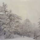 태백산맥 이미지