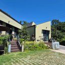 네네치킨.네네피자 | 아이랑 강릉여행 강릉가볼만한곳 - 3(논가집옹심이/소금강계곡/커더지커피/네네치킨/스쿨피자)