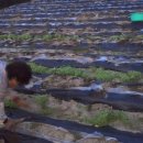 환국농장 이미지