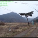 벌말목장 이미지