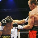 J World boxing 이미지