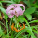 소백산국립공원 북부사무소 이미지