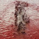 The Time is Out of Joint 이미지