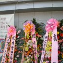 (주)한네인투어 이미지