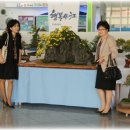 광주광역시청 B 이미지